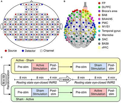 Enhancement of Frequency-Specific Hemodynamic Power and Functional Connectivity by Transcranial Photobiomodulation in Healthy Humans